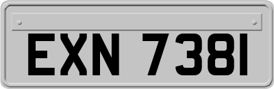 EXN7381