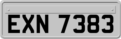EXN7383