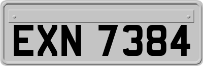 EXN7384