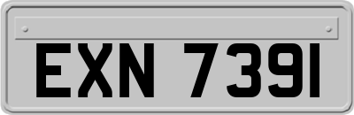 EXN7391