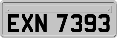 EXN7393