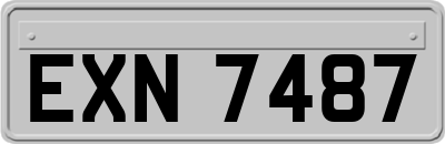 EXN7487
