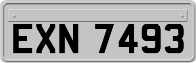 EXN7493