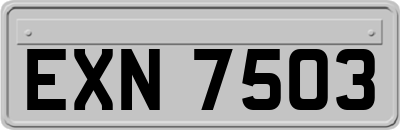 EXN7503