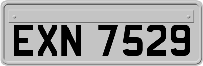 EXN7529