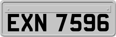 EXN7596