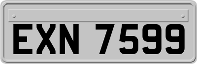 EXN7599