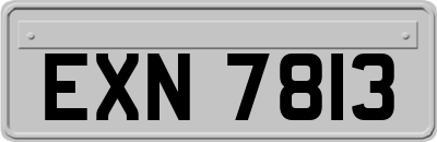 EXN7813