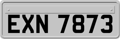 EXN7873