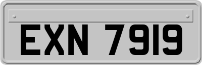 EXN7919
