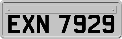 EXN7929