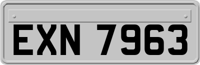 EXN7963