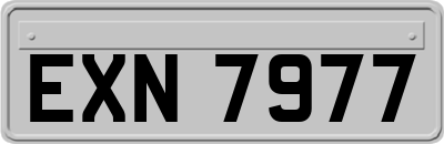 EXN7977