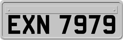 EXN7979
