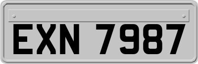 EXN7987