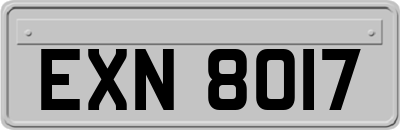 EXN8017