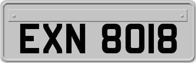 EXN8018