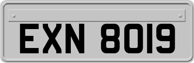 EXN8019