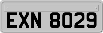 EXN8029