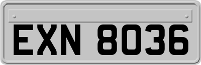 EXN8036