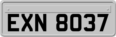 EXN8037