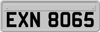 EXN8065