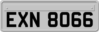 EXN8066