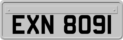 EXN8091
