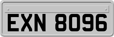 EXN8096