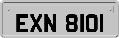 EXN8101