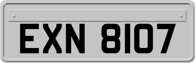 EXN8107