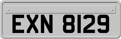 EXN8129