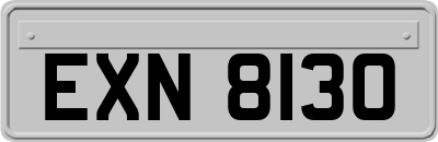 EXN8130