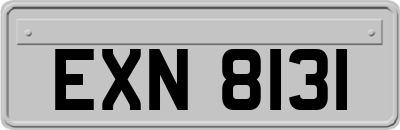 EXN8131