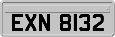 EXN8132