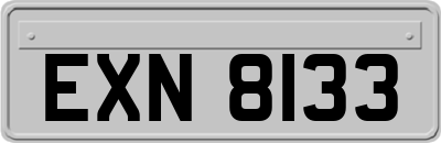 EXN8133
