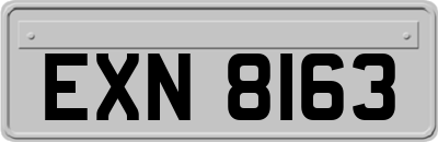 EXN8163