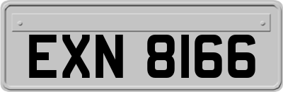 EXN8166
