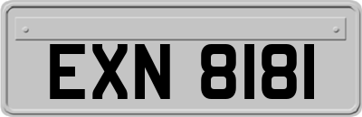 EXN8181