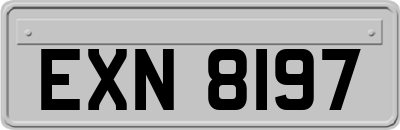 EXN8197
