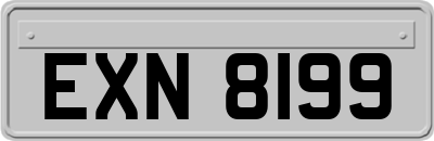 EXN8199