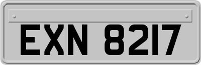 EXN8217