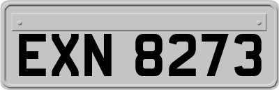 EXN8273