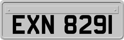 EXN8291