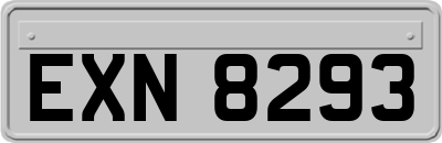 EXN8293