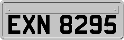 EXN8295