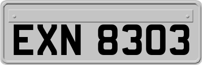 EXN8303
