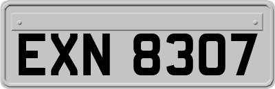 EXN8307