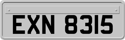 EXN8315