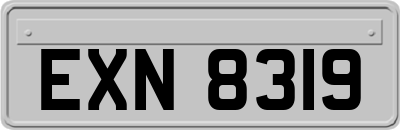 EXN8319